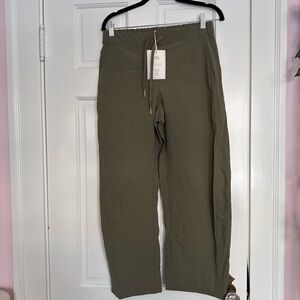 Everlane Sage Green Ankle Pants